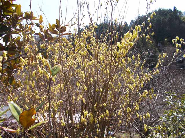 青藍洞窯の四季