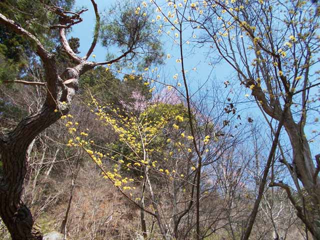 青藍洞窯の四季