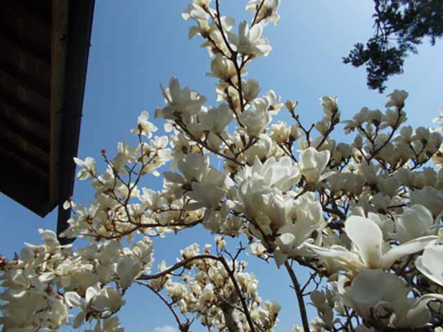 青藍洞窯の四季