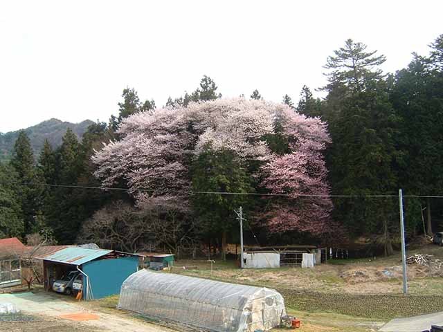 青藍洞窯の四季