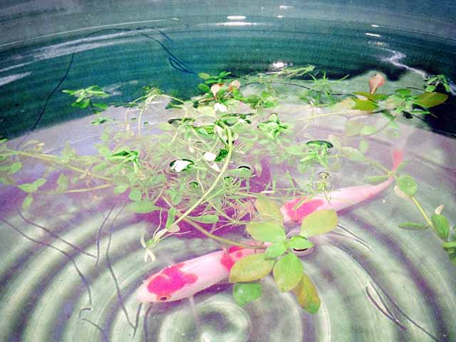 青藍洞窯の四季